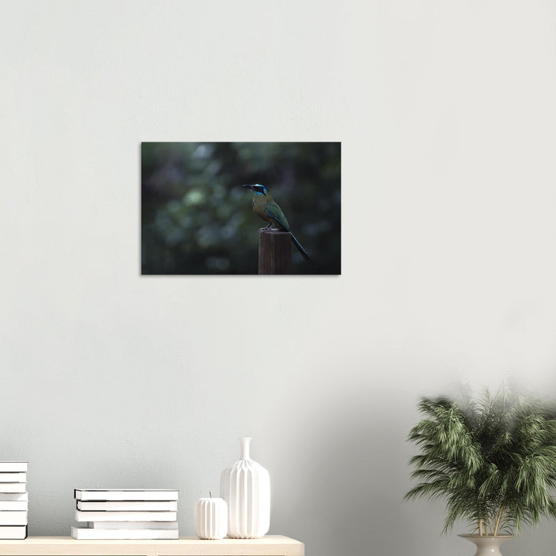 Mockup: Amazonasmotmot auf Holzpfosten vor dunklem Waldhintergrund; grün-türkisfarbenes Gefieder in ruhiger, natürlicher Lichtstimmung.