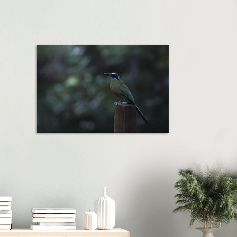 Mockup: Amazonasmotmot auf Holzpfosten vor dunklem Waldhintergrund; grün-türkisfarbenes Gefieder in ruhiger, natürlicher Lichtstimmung.