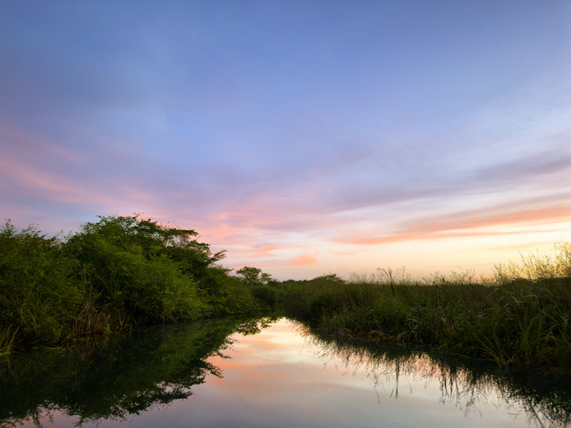 Schmaler Wasserkanal in Belize, Vegetation an den Ufern, Abendhimmel spiegelt sich im Wasser.