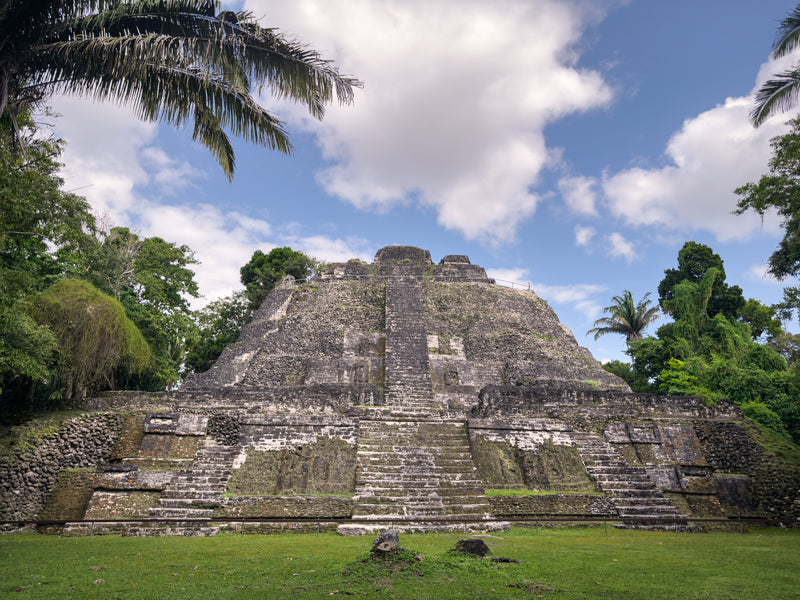 Maya-Tempel in Belize, steinerne Pyramide umgeben von tropischem Wald, Tageslicht.