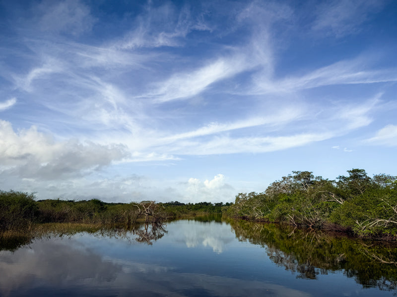 Breiter Wasserlauf in Belize mit Spiegelung von Himmel und Wolken, ruhige Landschaft.