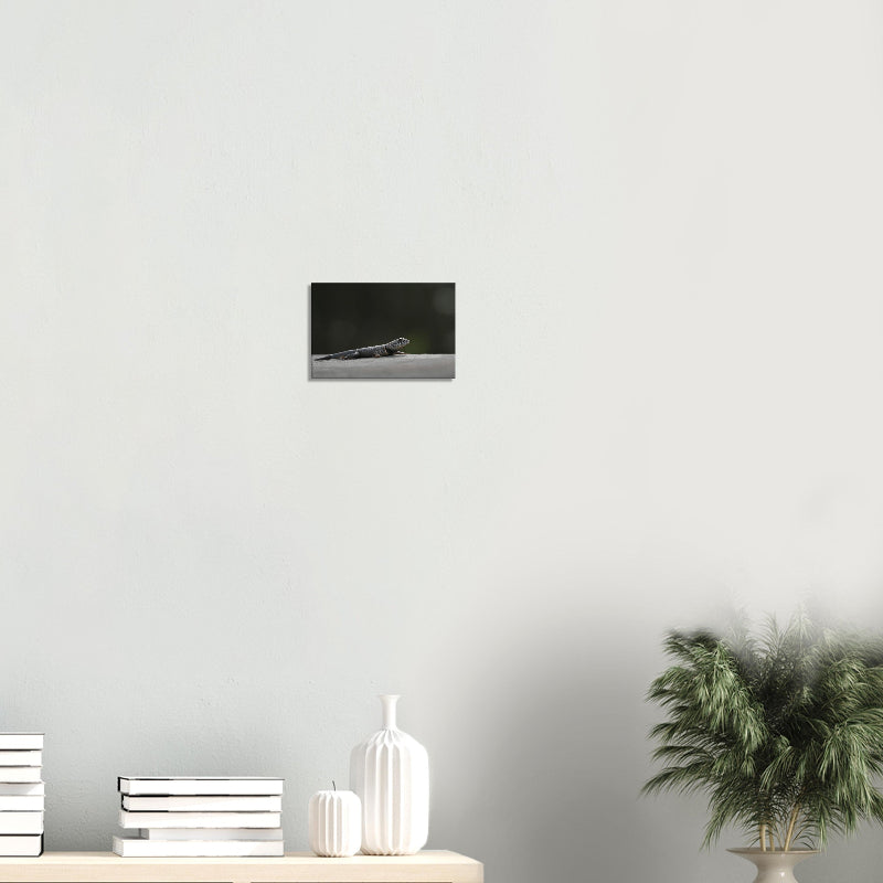 Mockup: Halsbandeidechse ausgestreckt auf heller Steinfläche, feine Schuppenstrukturen und weiches Naturlicht.