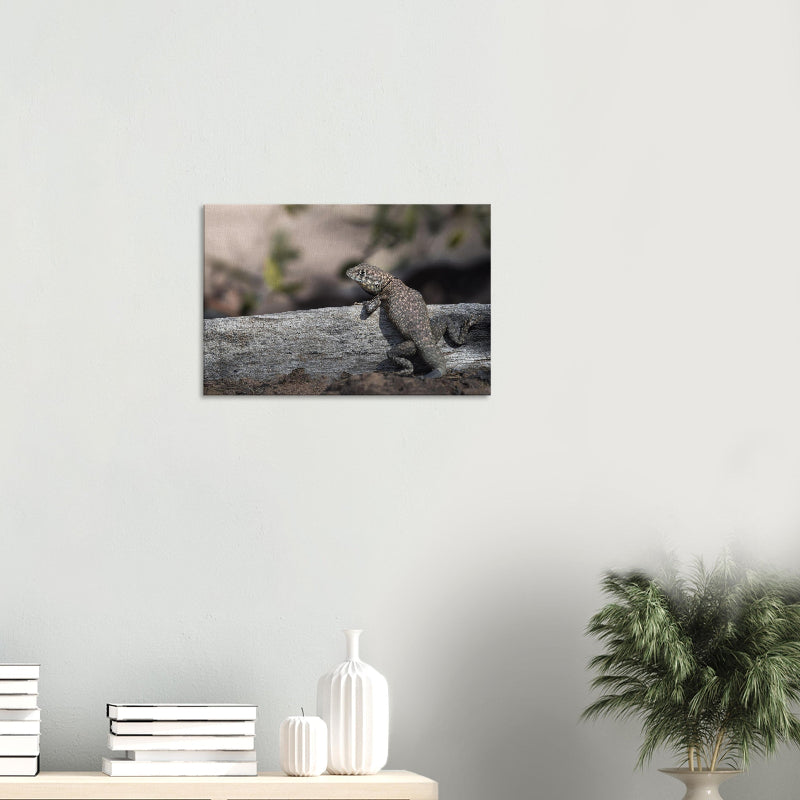 Mockup: Brasilianische Halsbandeidechse auf einem Baumstamm in der Sonne, mit sandfarbenem, geflecktem Schuppenkleid vor weichem Hintergrund.