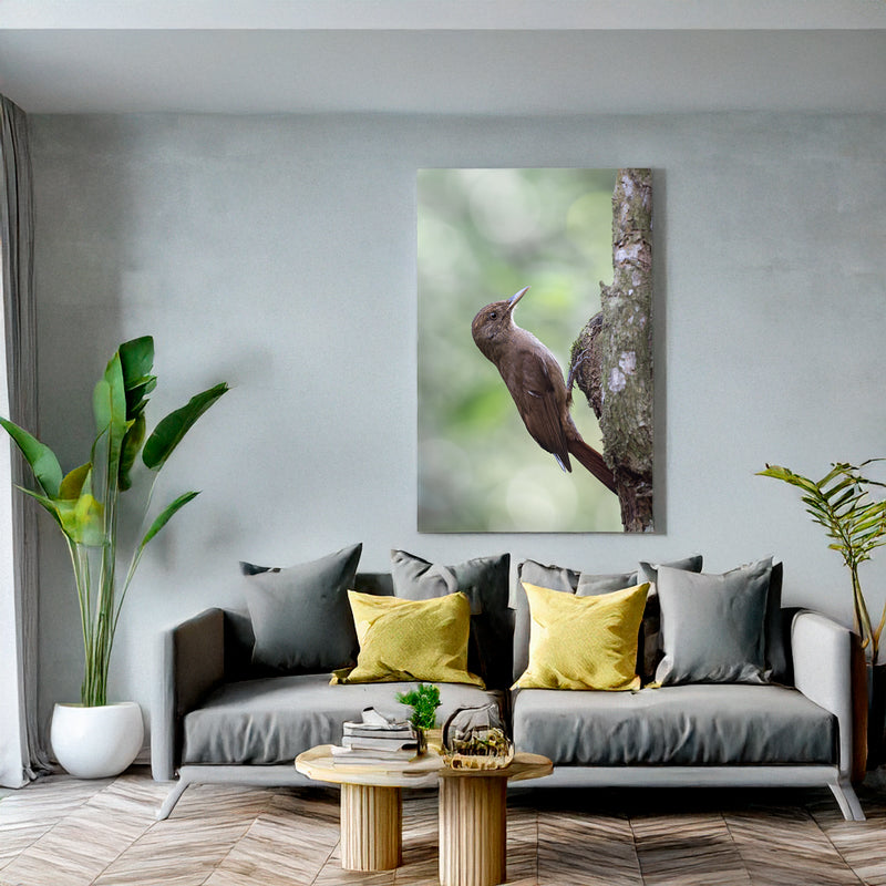 Mockup Wohnzimmer Leinwand mit Leinwand: Ein Einfarb-Baumsteiger sitzt an einem Baumstamm, sein braunes Gefieder fügt sich harmonisch in die Rinde des Waldes von Foz do Iguaçu ein.