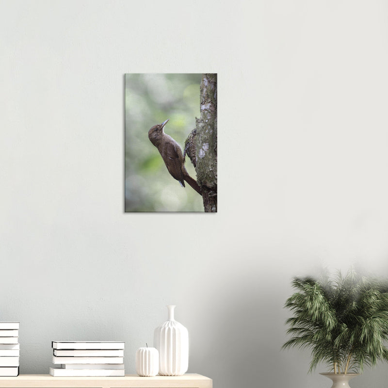 Mockup: Einfarb-Baumsteiger an einem Baumstamm im Wald, mit braunem Gefieder und vertikaler Haltung im sanften Naturlicht.