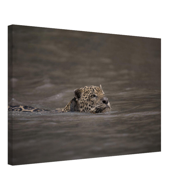 Mockup Leinwand mit Jaguar
