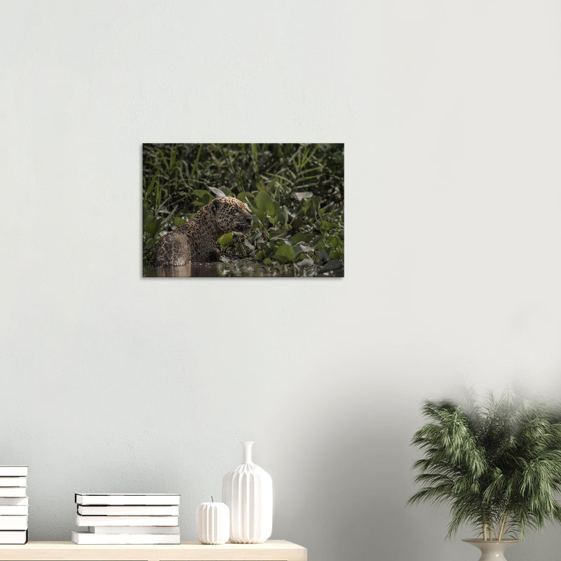 Mockup: Jaguar steht im flachen Wasser zwischen dichtem Grün, seitliches Profil, gedämpftes Licht.