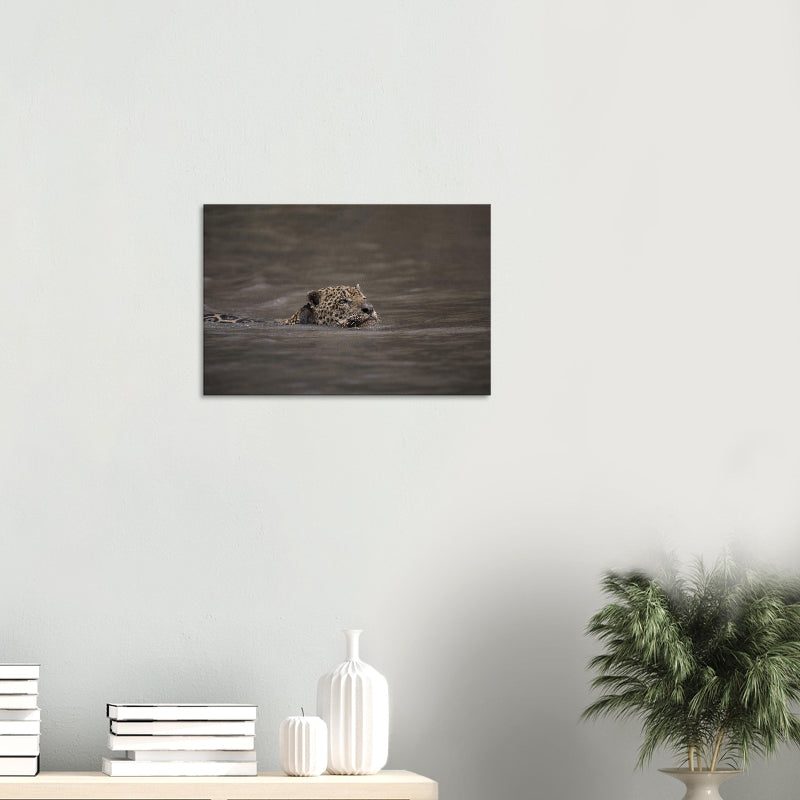 Mockup: Jaguar schwimmt im Fluss, nur Kopf und oberer Rücken sichtbar, ruhige Wasseroberfläche, natürliches Licht.