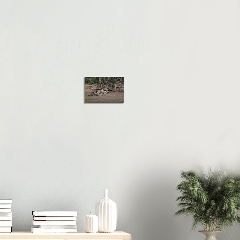 Mockup: Jaguar watet seitlich durch einen Fluss, Kopf aufmerksam erhoben, natürliche Ufervegetation im Hintergrund.