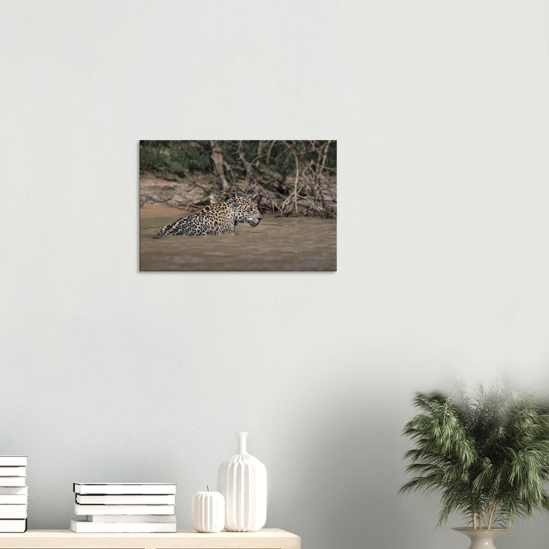 Mockup: Jaguar watet seitlich durch einen Fluss, Kopf aufmerksam erhoben, natürliche Ufervegetation im Hintergrund.