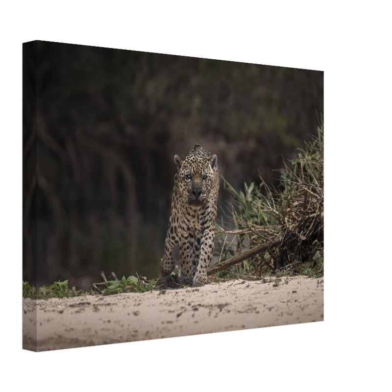 Mockup Leinwand mit Jaguar