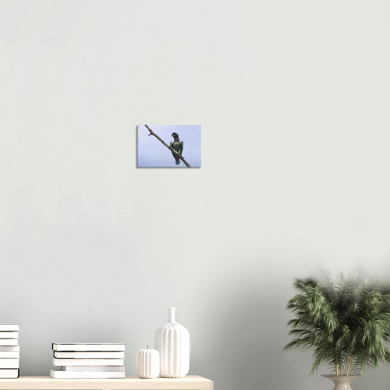 Mockup: Maximilianpapagei auf einem schrägen Ast vor hellem Himmel, mit grünen Flügeln und rotem Schwanz, in natürlichem Licht.