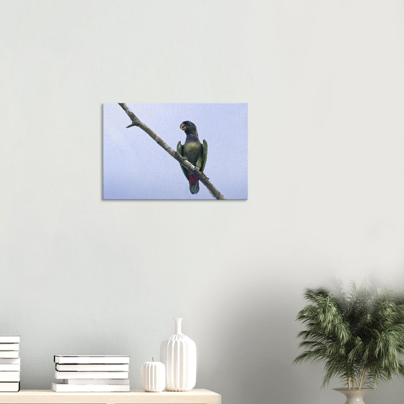 Mockup: Maximilianpapagei auf einem schrägen Ast vor hellem Himmel, mit grünen Flügeln und rotem Schwanz, in natürlichem Licht.