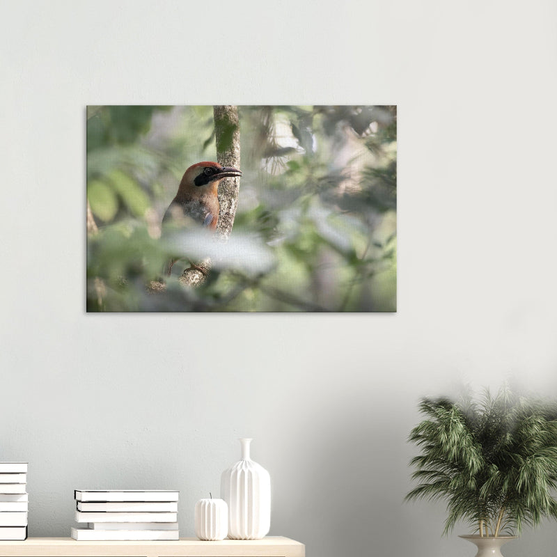 Mockup: Rotkopfmotmot zwischen Blattwerk im diffusen Grün des Regenwaldes, mit rostrotem Kopf und blau-grünem Körper.