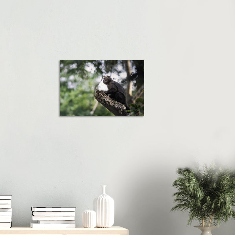 Mockup: Schwarzer Kapuzineraffe auf einem Baumstumpf über grünem Waldhintergrund, mit hellem Gesicht und ruhiger Haltung.