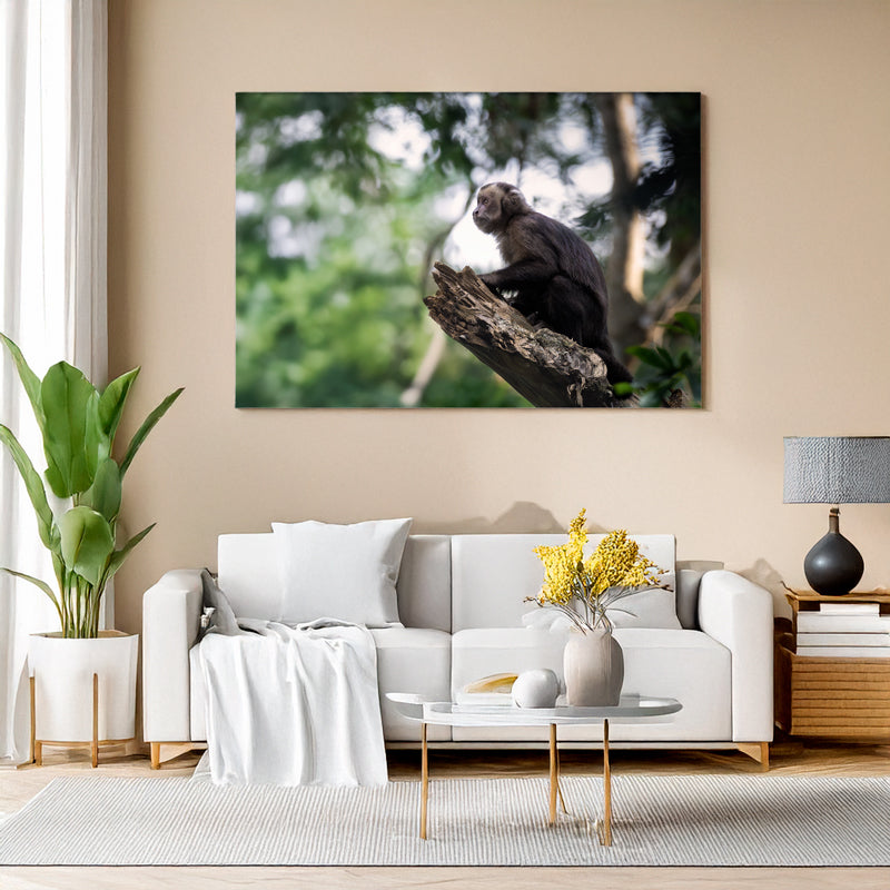 Mockup Wohnzimmer: Ein Schwarzer Kapuzineraffe sitzt ruhig auf einem Ast und blickt in die Ferne, umgeben von hellem Grün des Waldes von Foz do Iguaçu.