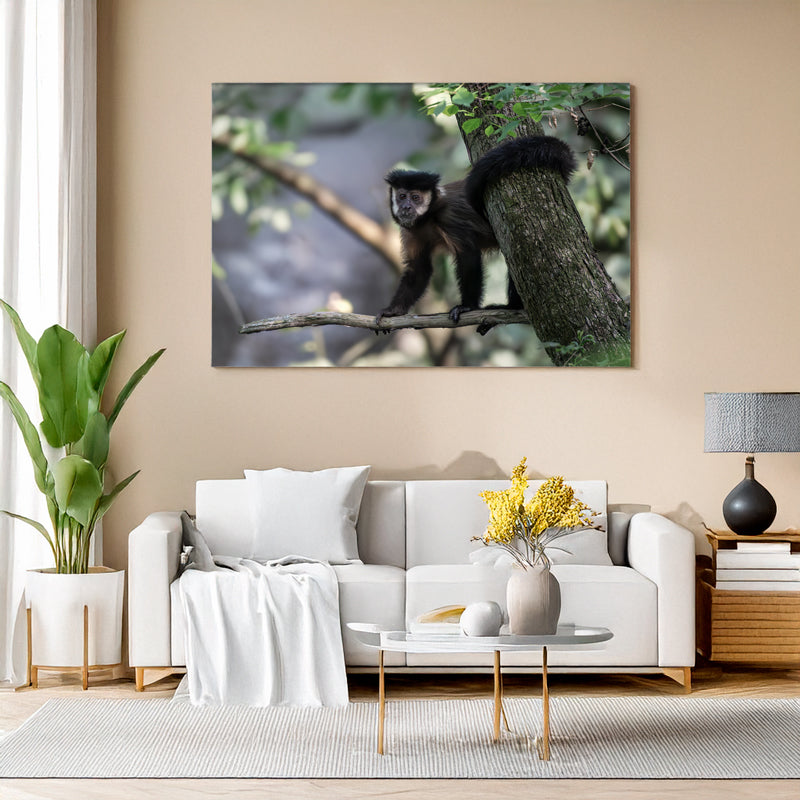 Mockup Wohnzimmer Ein Schwarzer Kapuzineraffe sitzt auf einem Ast und blickt neugierig in die Kamera, umgeben von hellem Blattwerk im Wald von Foz do Iguaçu.