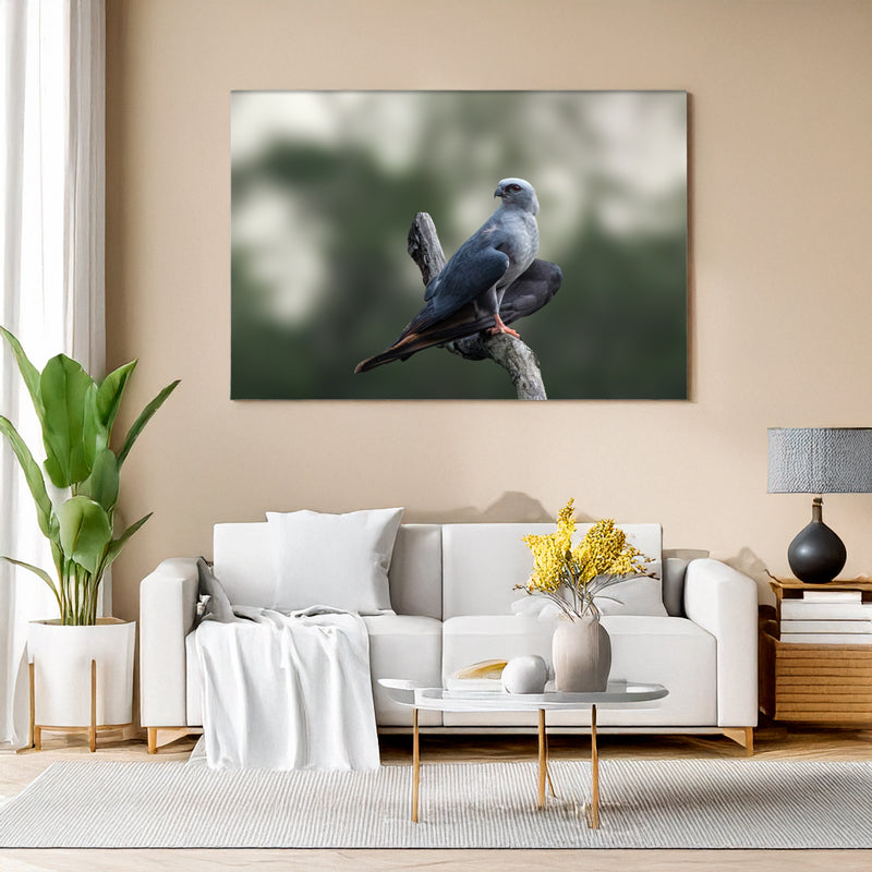 Wohnzimmer Mockup: Ein Schwebebussard sitzt auf einem Ast gegen einen weichen, grauen Hintergrund, seine kräftigen Krallen und das ruhige Gefieder sind klar sichtbar.