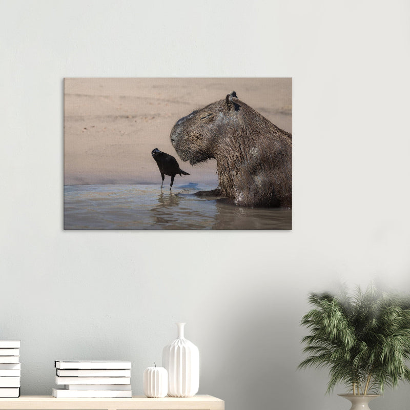 Mockup: Wasserschwein sitzt im flachen Wasser am Sandufer, daneben steht ein schwarzer Vogel, warme Lichtstimmung.